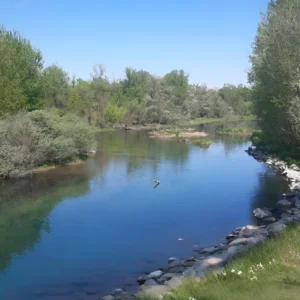 LANCA DI BERNATE