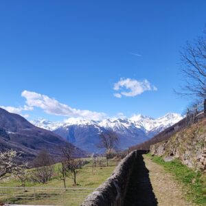 MERCATO DI VAL VIGEZZO
